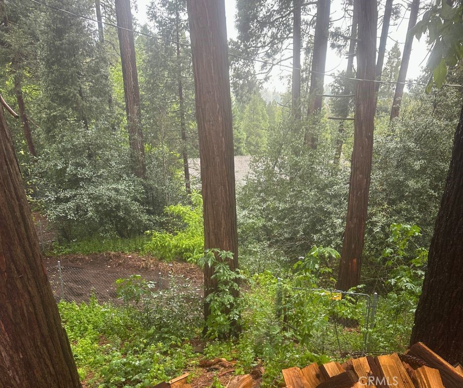 23382 Crest Forest Drive Property Photo 4