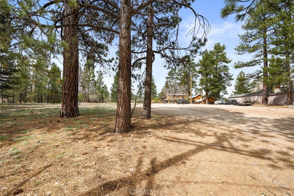 40111 Big Bear Boulevard Property Photo 2