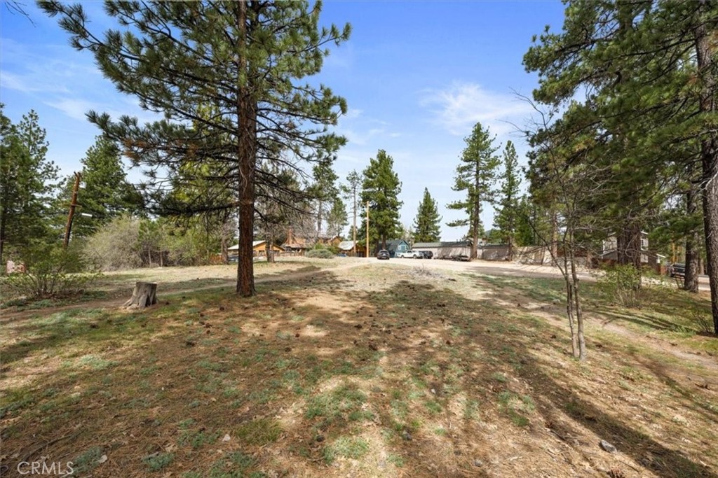 40111 Big Bear Boulevard Property Photo 3