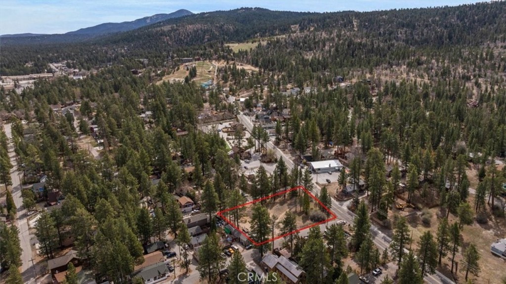 40111 Big Bear Boulevard Property Photo 9