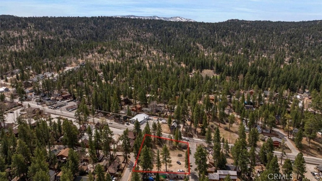 40111 Big Bear Boulevard Property Photo 10