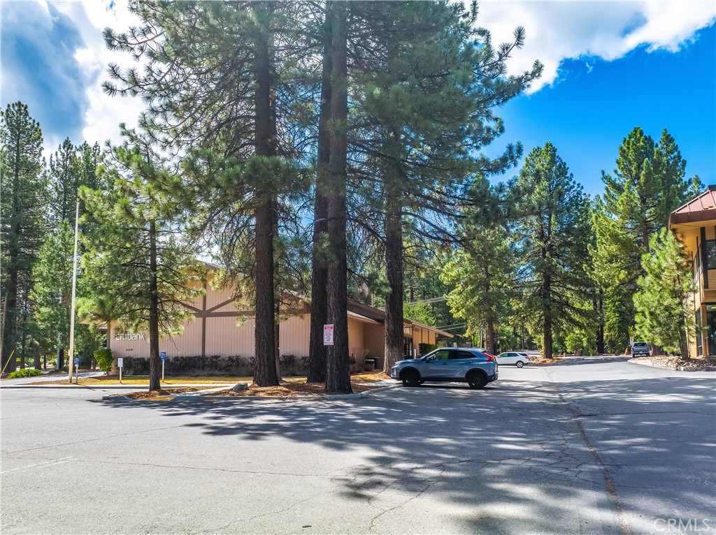 41969 Big Bear Property Photo 13