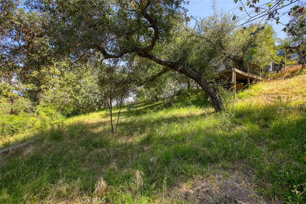 6937 Woodrow Wilson Drive Property Photo 4