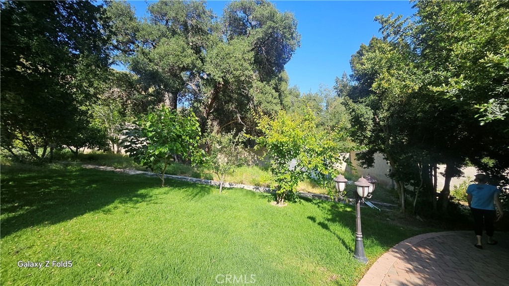 2311 Stonyvale Road Property Photo 13