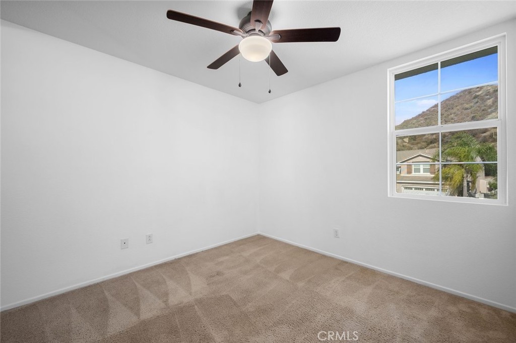 29511 Dana Court Property Photo 23
