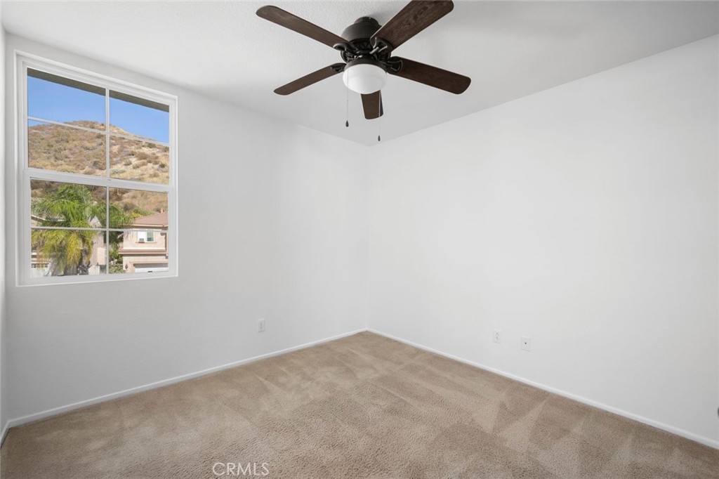 29511 Dana Court Property Photo 27