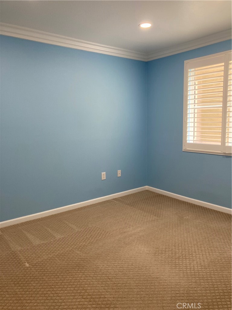 1229 Scholarship Property Photo 12