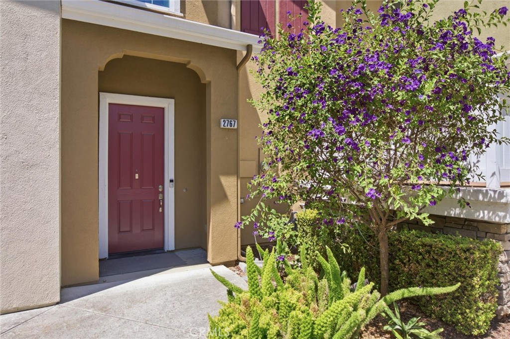 2767 Lavender Terrace Property Photo 2
