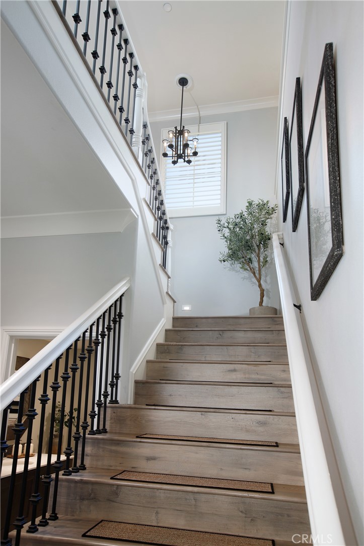 27624 Camellia Drive Property Photo 19