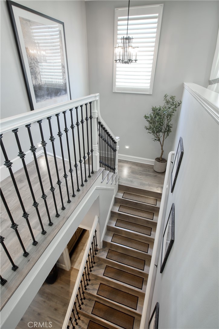27624 Camellia Drive Property Photo 20