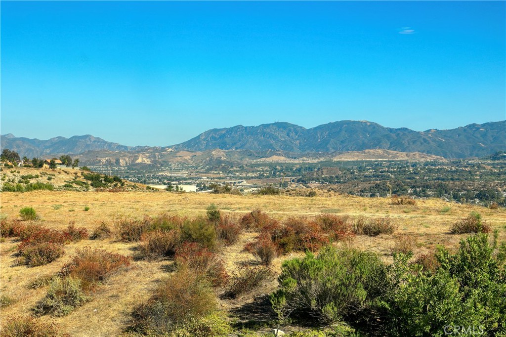 27624 Camellia Drive Property Photo 33