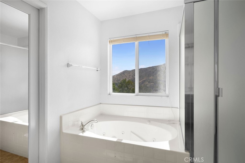 29511 Dana Court Property Photo 20