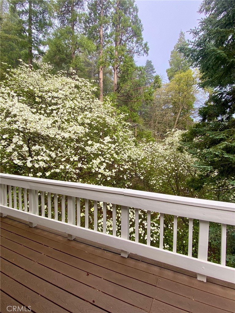 841 Cottage Grove Road Property Photo 31