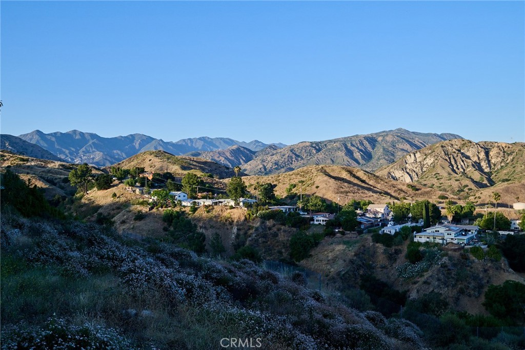 12000 Mountain View Property Photo 9