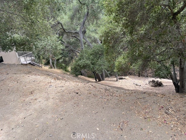 0 Graceland Way Property Photo 2
