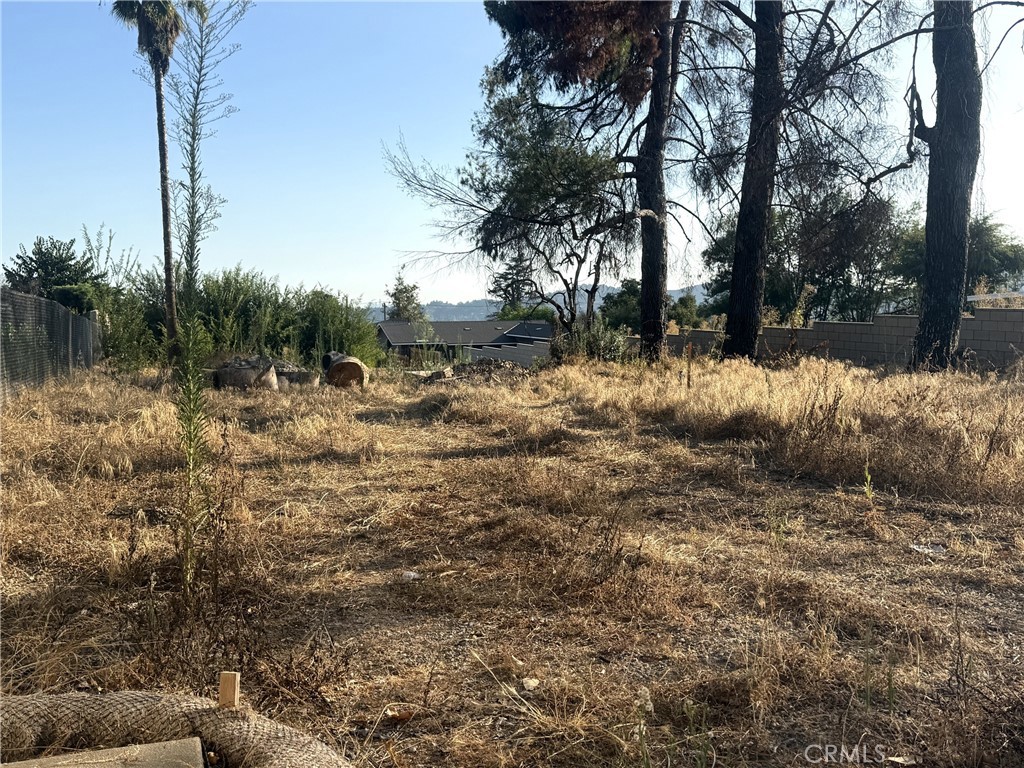 290 E Palm Street Property Photo 1