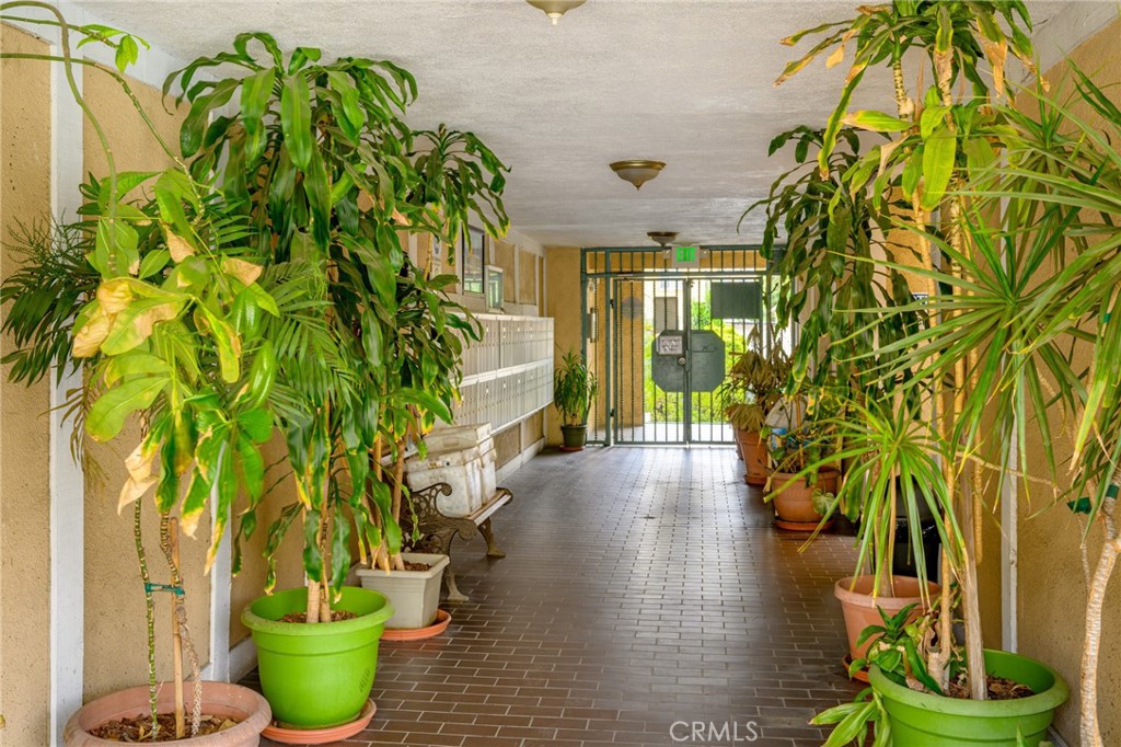 121 Sinclair Avenue 107 Property Photo 26