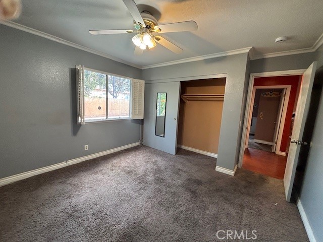 93 Dobkin Place Property Photo 7