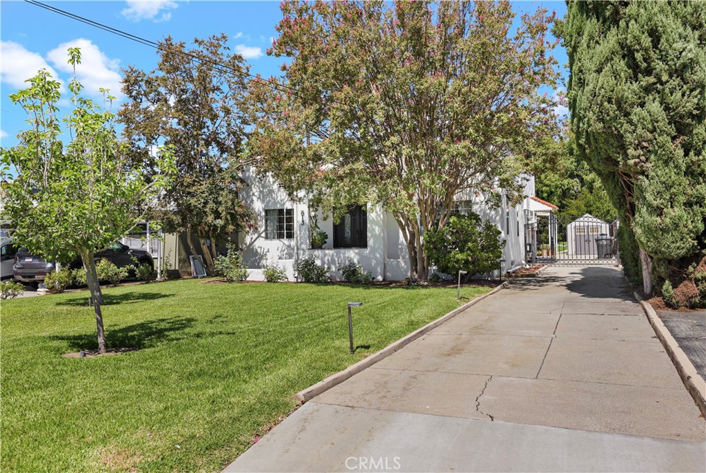 813 Mountain View Property Photo 5