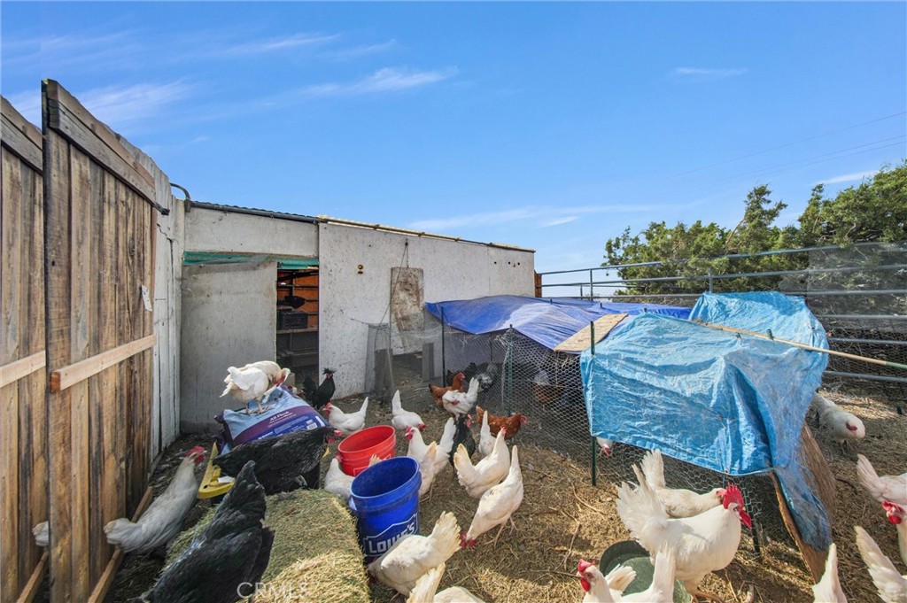 10392 Cima Mesa Road Property Photo 18