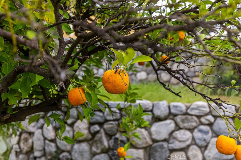 7444 Tranquil Drive Property Photo 20