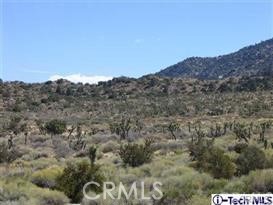 300 E Z12 Street Property Photo 24