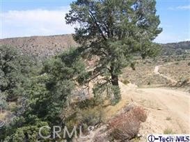 300 E Z12 Street Property Photo 25