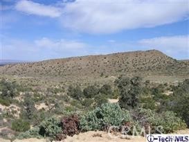 300 E Z12 Street Property Photo 28