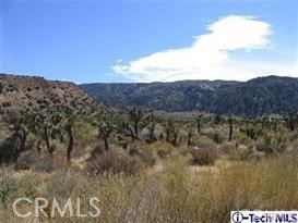 300 E Z12 Street Property Photo 29