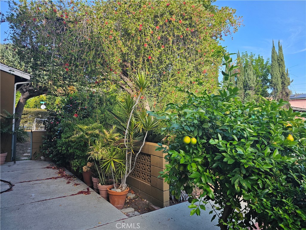 262 E Mountain Street Property Photo 4