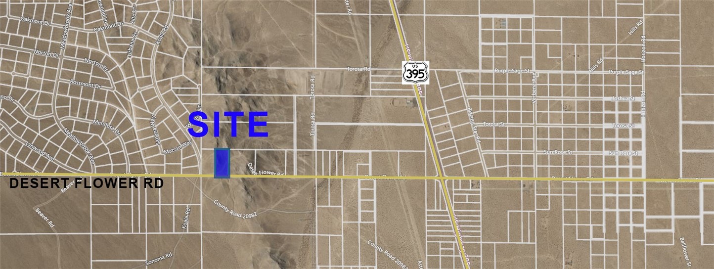 0 Desert Flower Road Property Photo 4