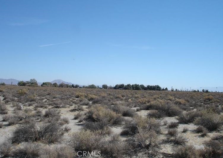 0 Bear Valley / Duncan Road Property Photo