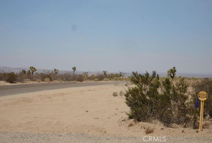 0 Bear Valley / Duncan Road Property Photo 5