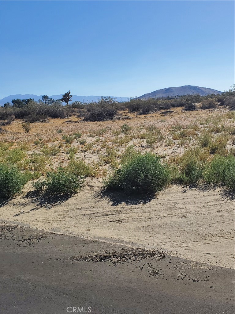 19434 El Mirage Airport Road Property Photo 3