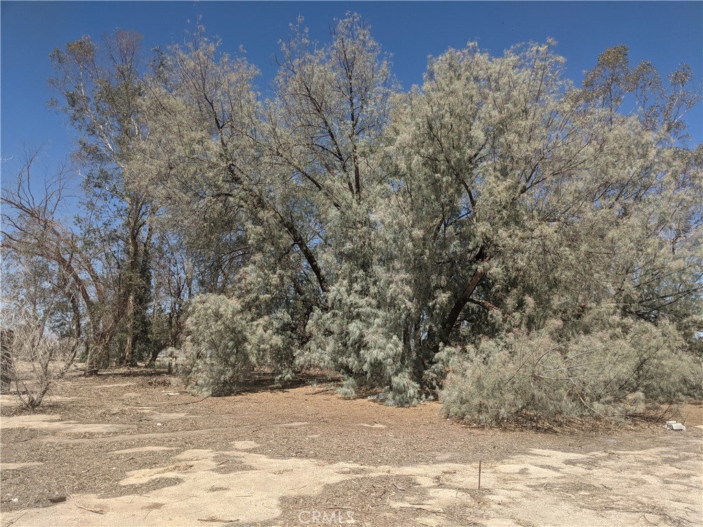 42797 Navajo Property Photo 10