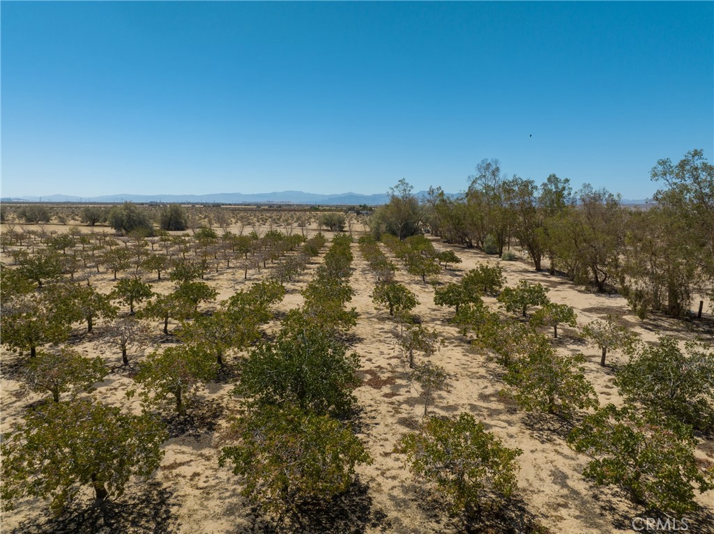 42797 Navajo Property Photo 11