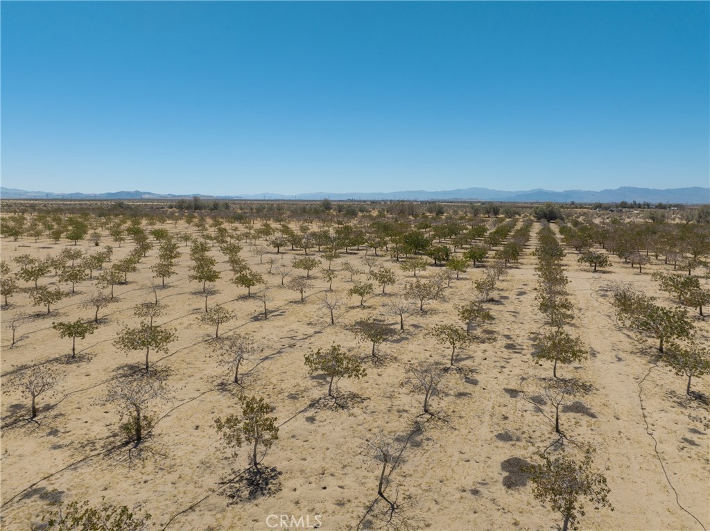42797 Navajo Property Photo 14