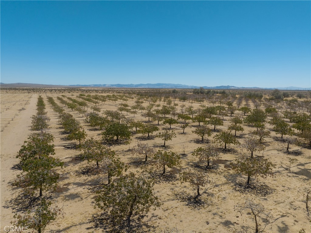 42797 Navajo Property Photo 17