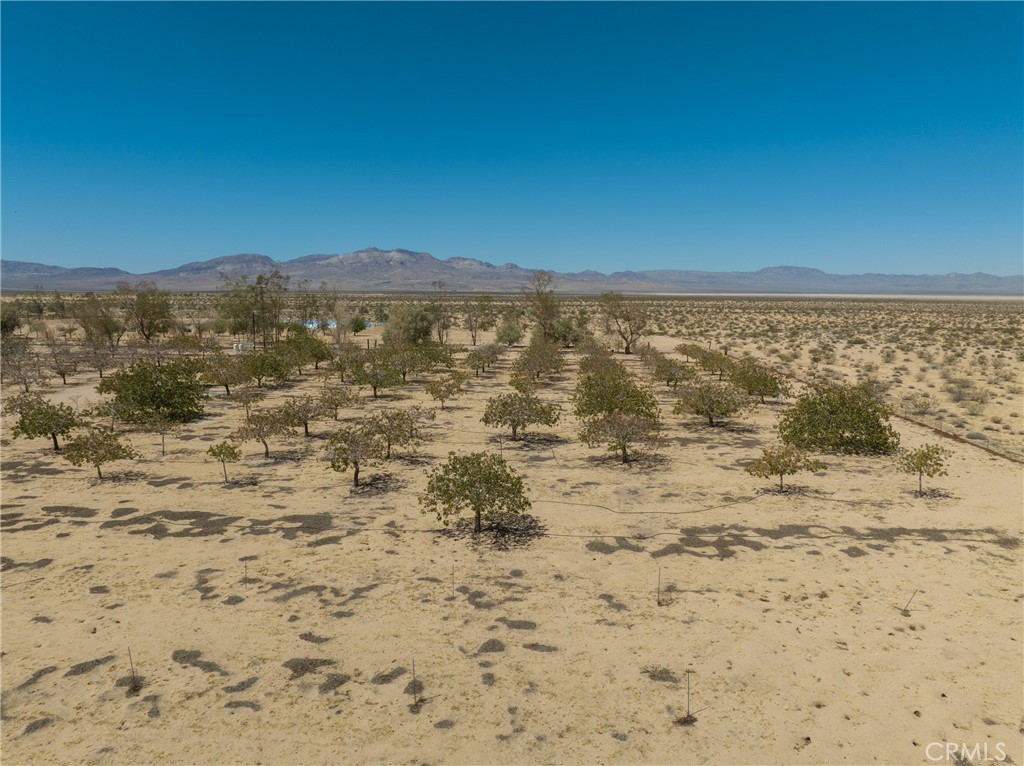 42797 Navajo Property Photo 18