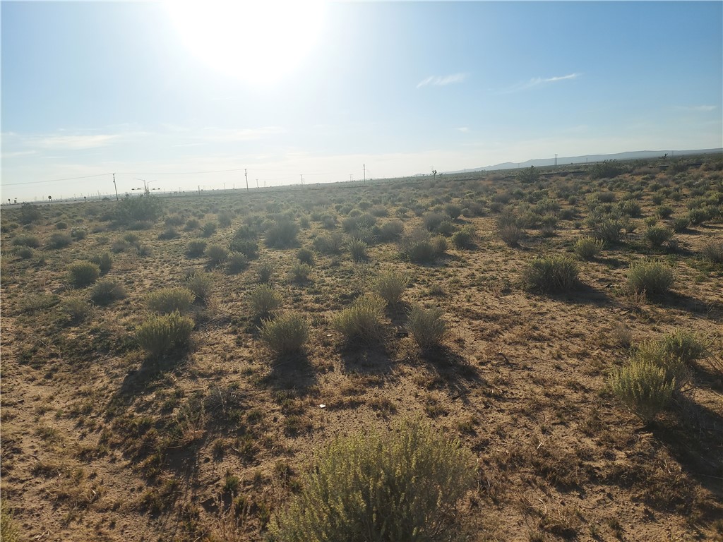 0 Twenty Mule Team Rd #1 Property Photo 5