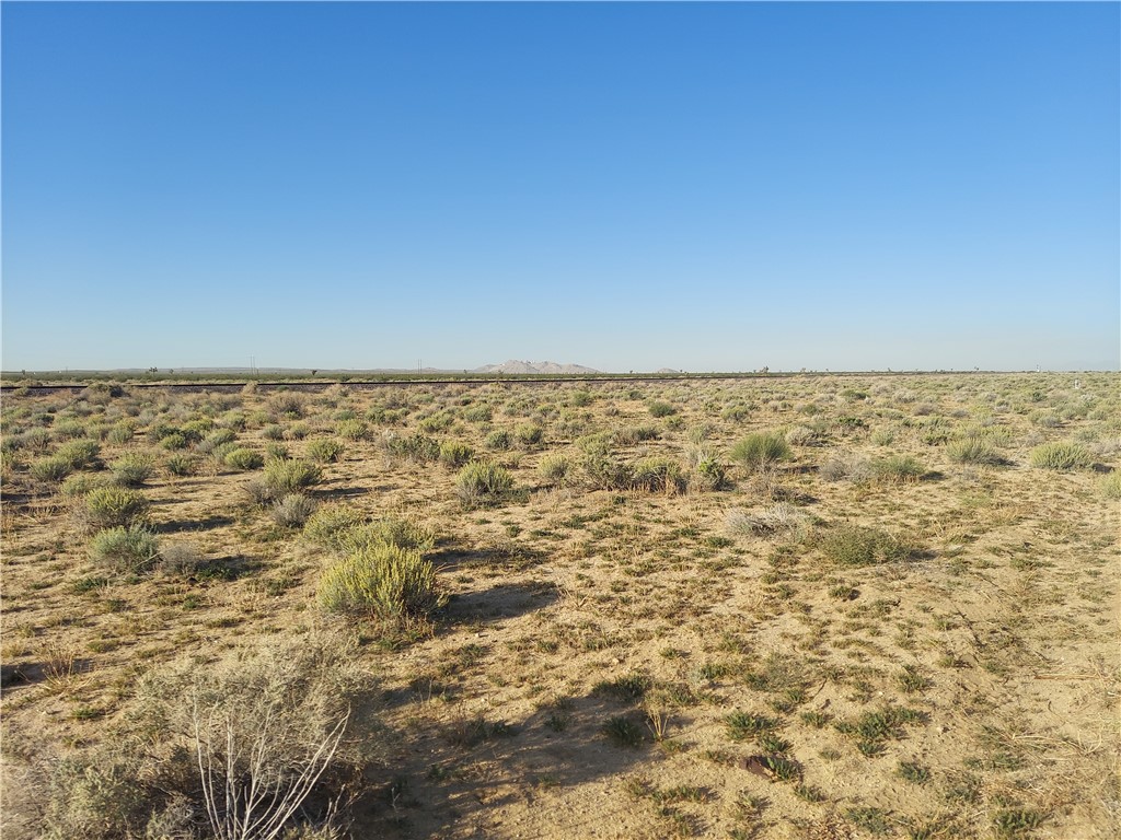 0 Twenty Mule Team Rd #1 Property Photo 6