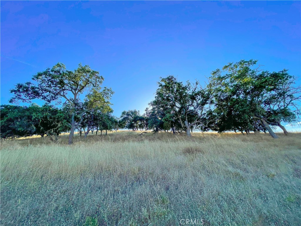 0 E Hwy 41 Property Photo 74