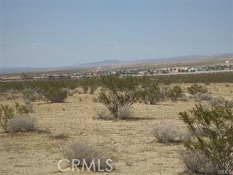 0 Morton Street Property Photo 1