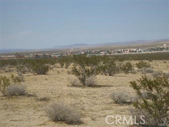 0 Morton Street Property Photo 1