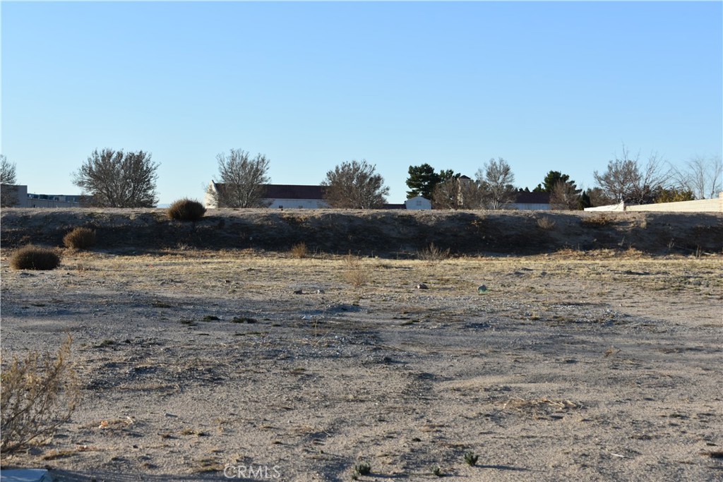 27231 Peach Tree Lane Property Photo 8