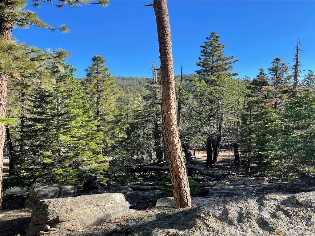 15328043 Piute Pines Rise Property Photo