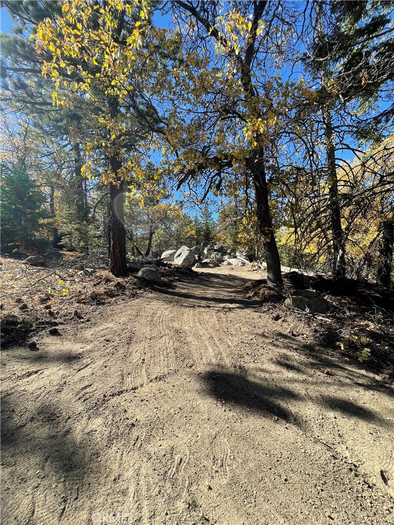 15328043 Piute Pines Rise Property Photo 4