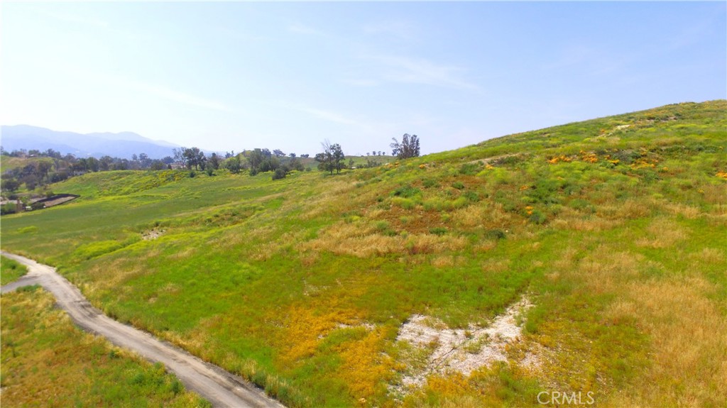 3783304 Turnbull Avenue Property Photo 5