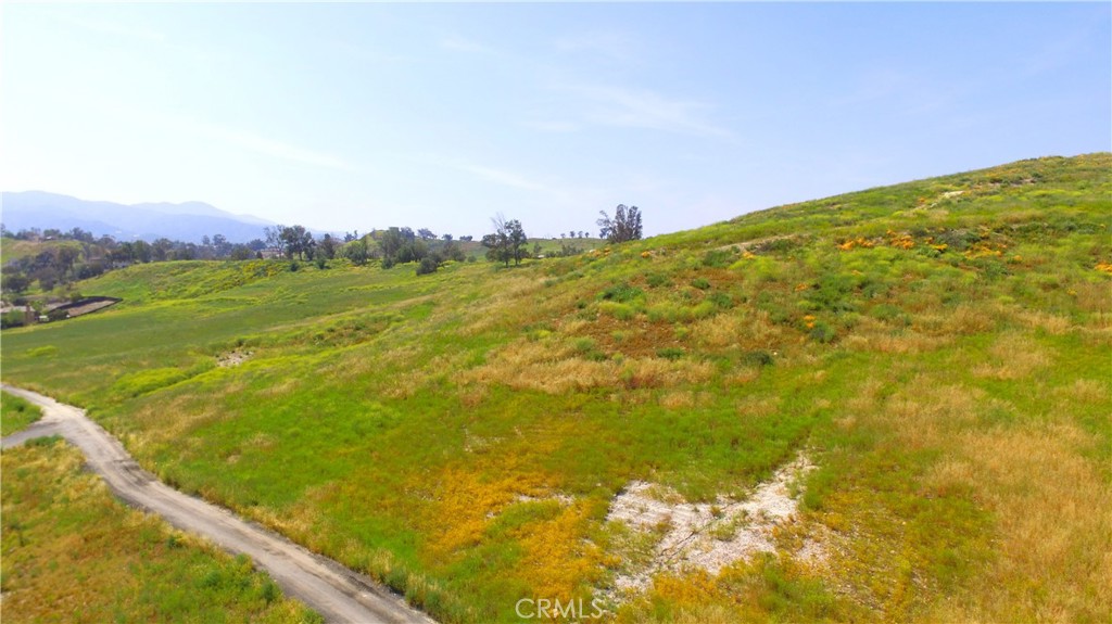 3783304 Turnbull Avenue Property Photo 5