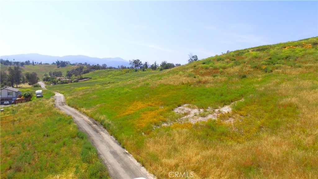 3783304 Turnbull Avenue Property Photo 11